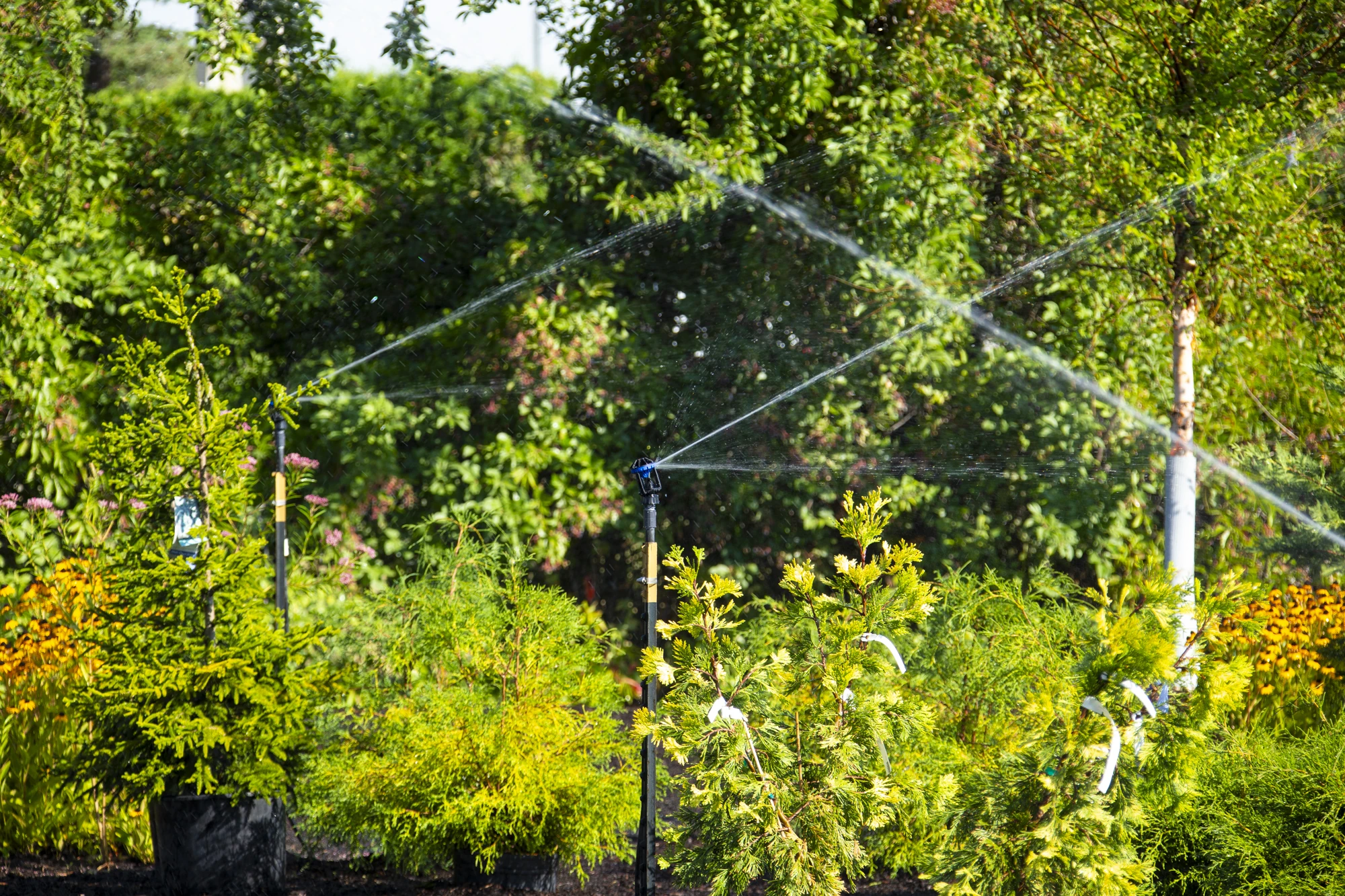 Nelson R2000 Rotator R2000FX Irrigation Sprinklers from Nelson Irrigation