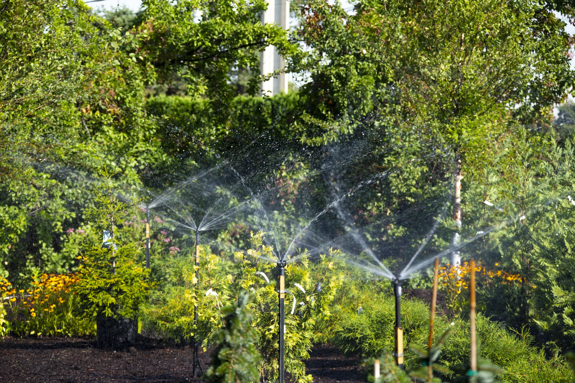 Nelson R2000 Rotator R2000FX Irrigation Sprinklers from Nelson Irrigation