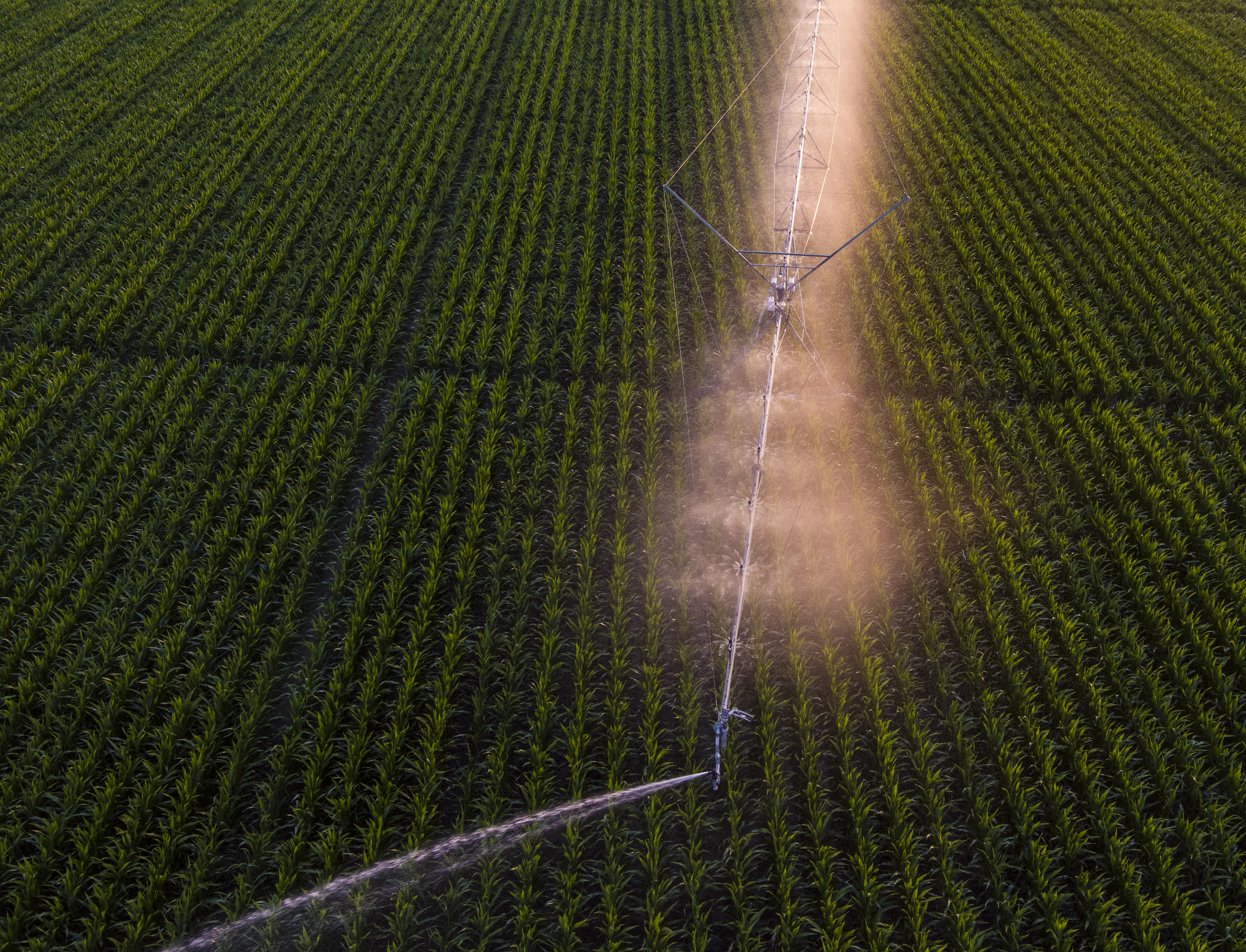 Orbitor FX Sprinkler from Nelson Irrigation