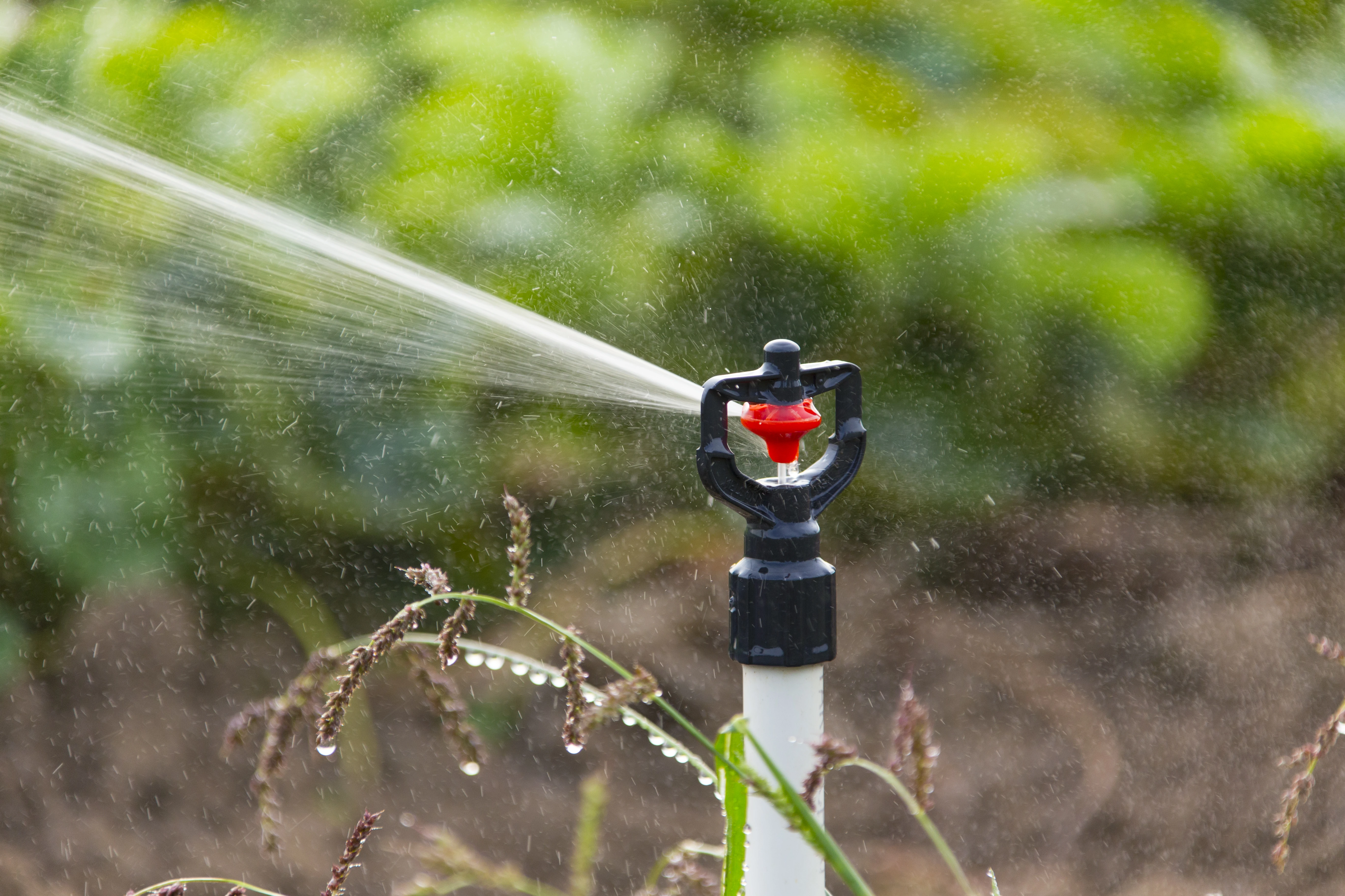 R10/R10LP Rotator® by Nelson Irrigation