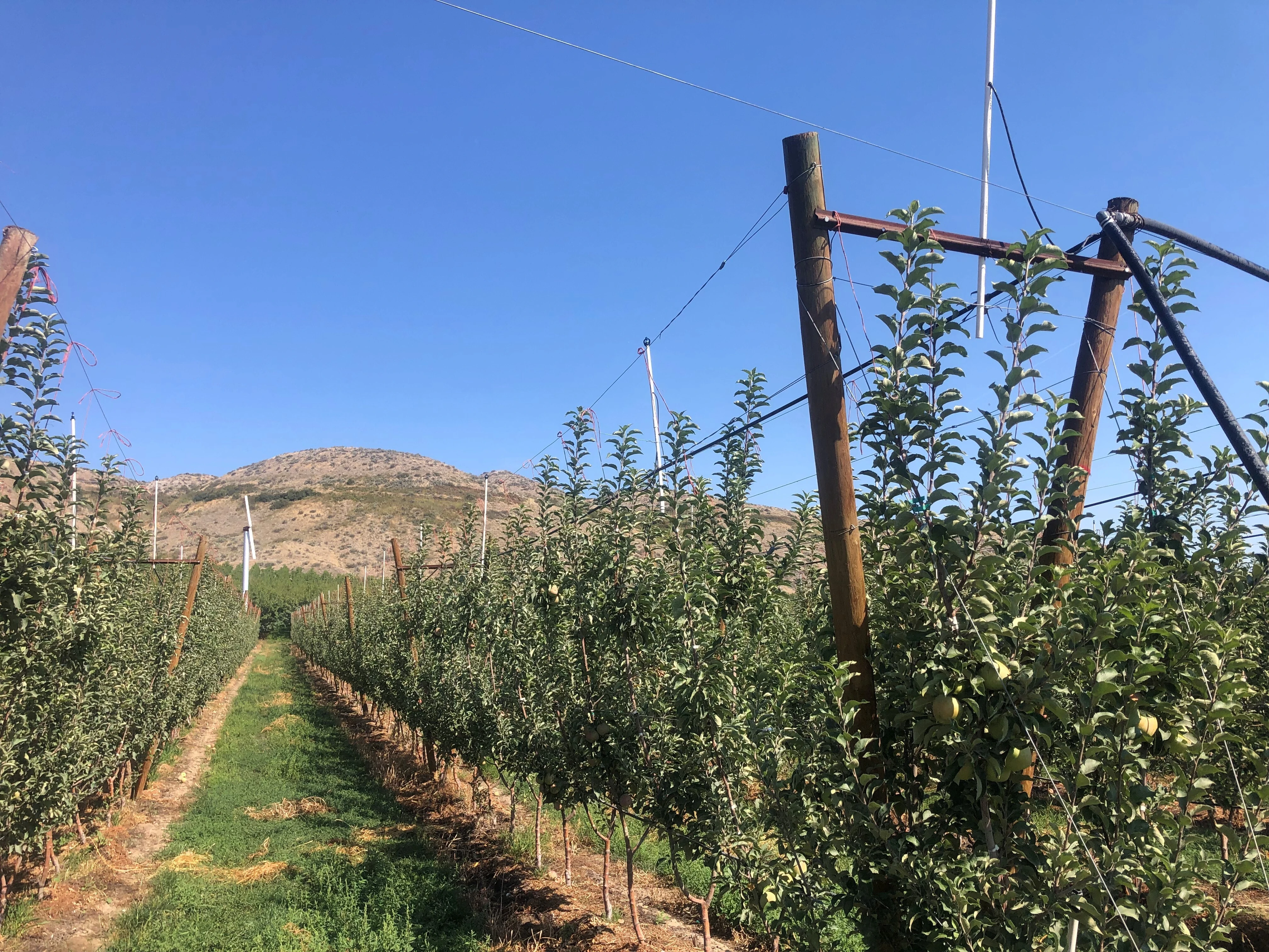 Автоматизация и системы управления